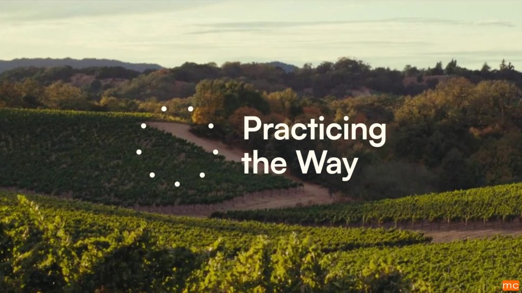 Practicing the Way – September 28 & 29, 2024