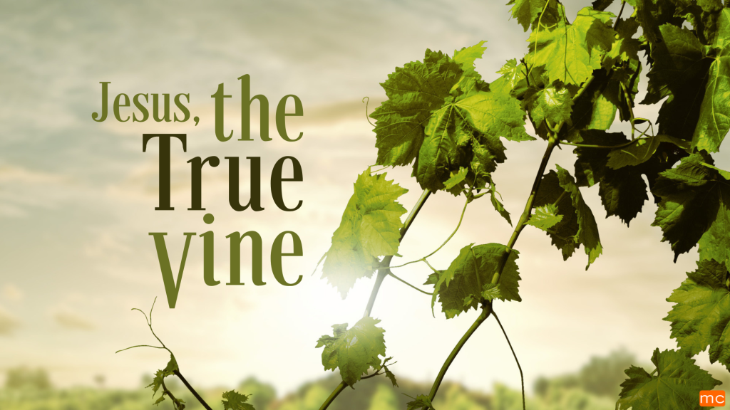 Jesus, the True Vine – August 8 & 9, 2026